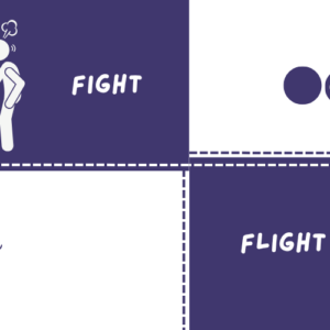 Comfort zone, fight, flight, freeze and fawn