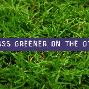 Frustration at work - is the grass greener