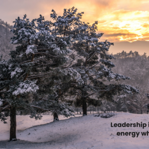 Leadership is authentic energy which helps others