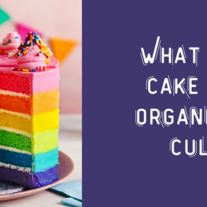 Image of a rainbow cake with the words what type of cake is your orgnisational culture?