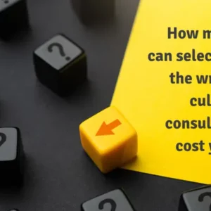 culture consultant