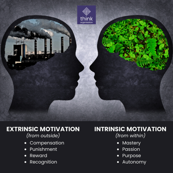 This image shows the two sides to motivation - extrinsic and intrinsic.